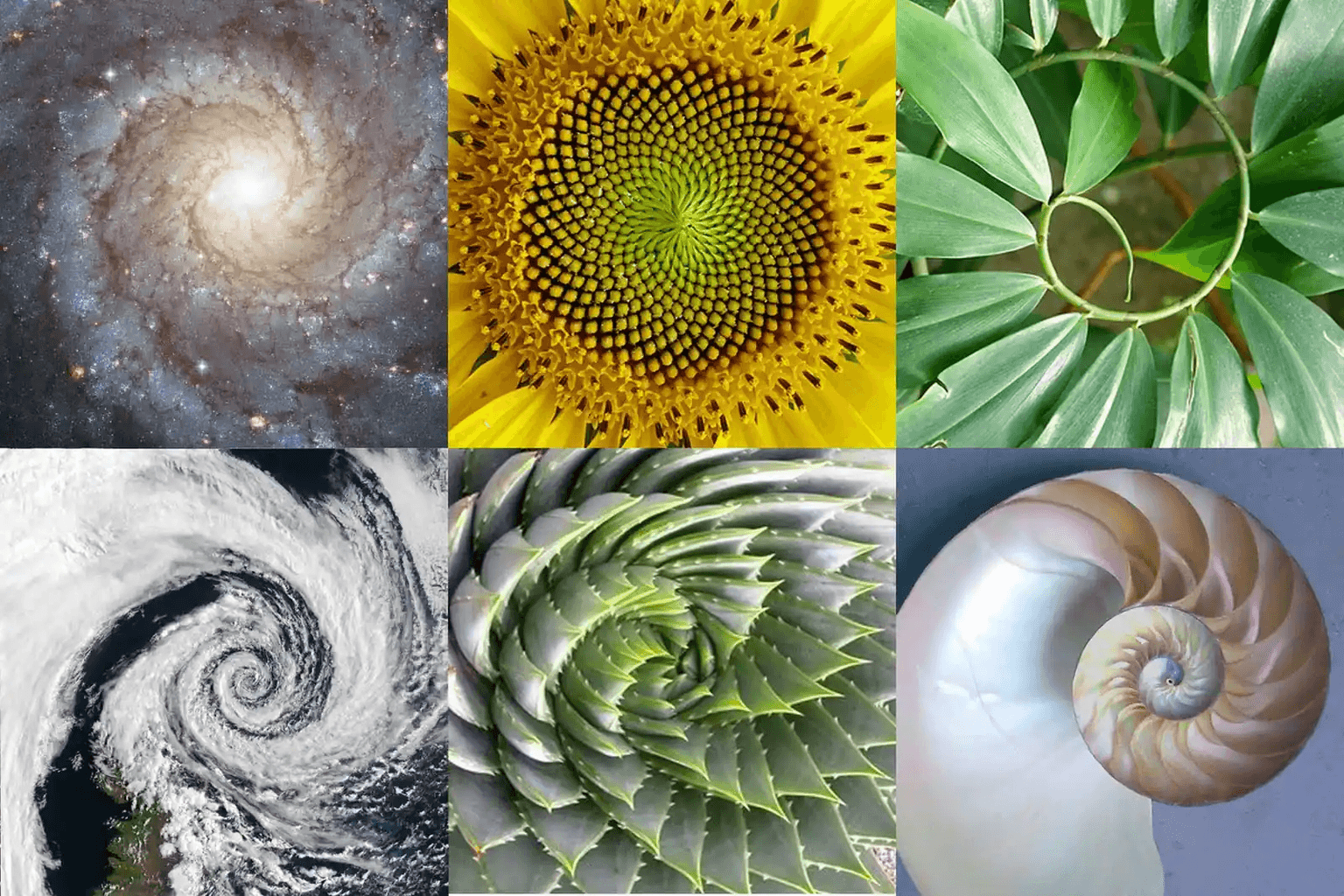 Generating the Fibonacci sequence using matrices
